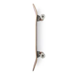 Arbor Cucharon Solstice 8.75” Skateboard Complete -Skateboard Shop arbor cucharon solstice 875 skateboard complete 2