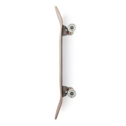 Arbor Cucharon Solstice 8.75” Skateboard Complete -Skateboard Shop arbor cucharon solstice 875 skateboard complete 6