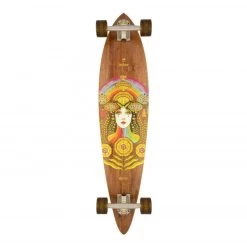 Arbor Fish 37" Longboard Complete