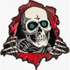 Powell Peralta Powell-Peralta Lapel Ripper Pin -Skateboard Shop powell peralta lapel ripper pin